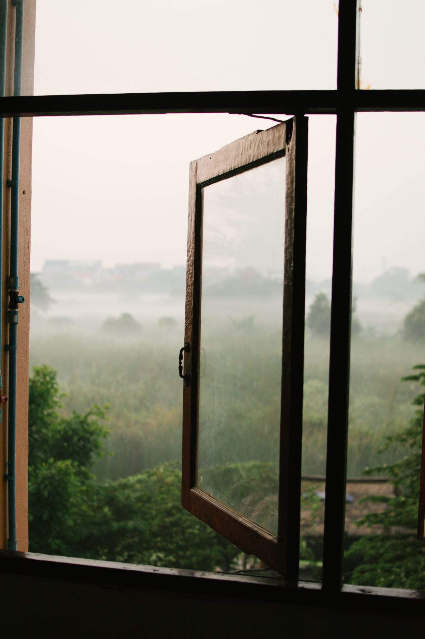 Tipos de aperturas para tu ventana 5 hannah tims 594336 unsplash scaled
