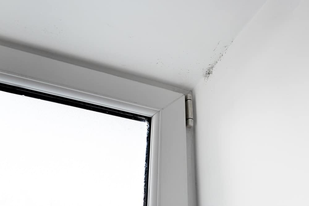 Cómo-evitar-la-condensación-en-ventanas-1