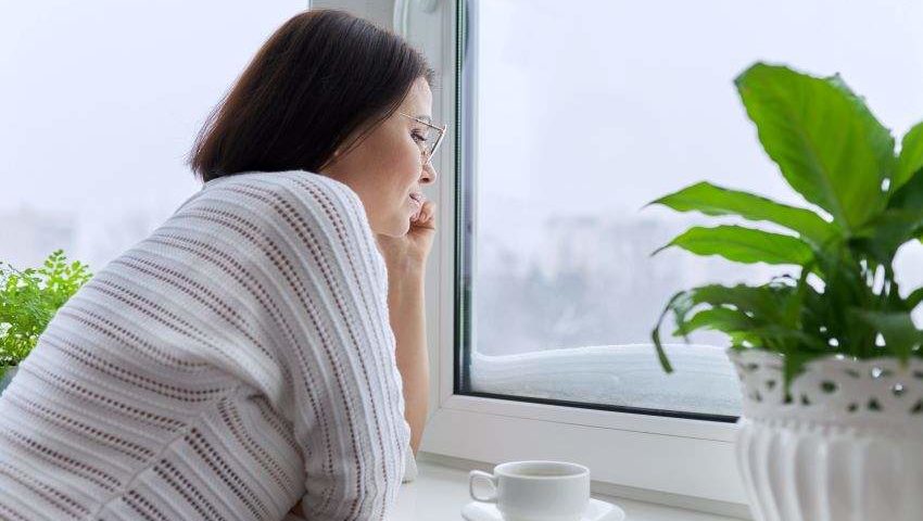 Ventanas-para-alérgicos