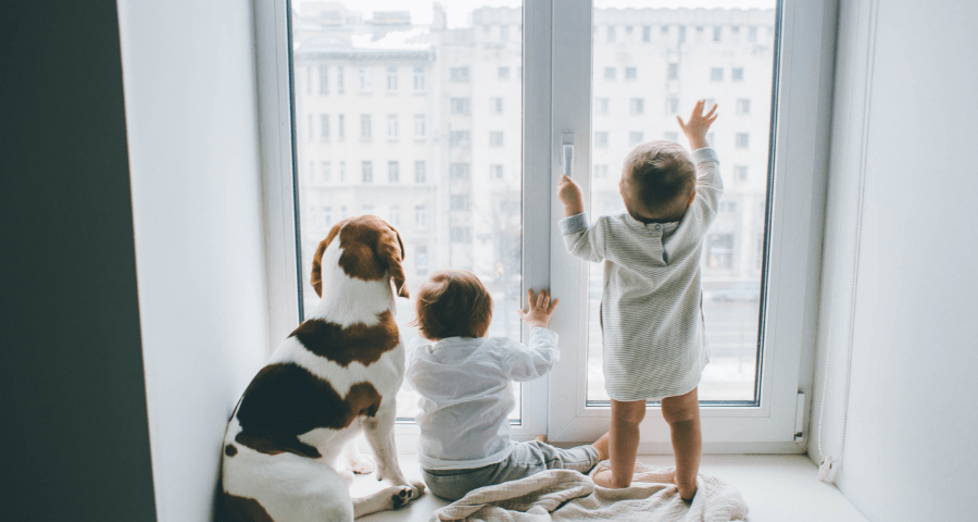 Seguridad en ventanas PVC para niños 2 seguridad ventanas niños