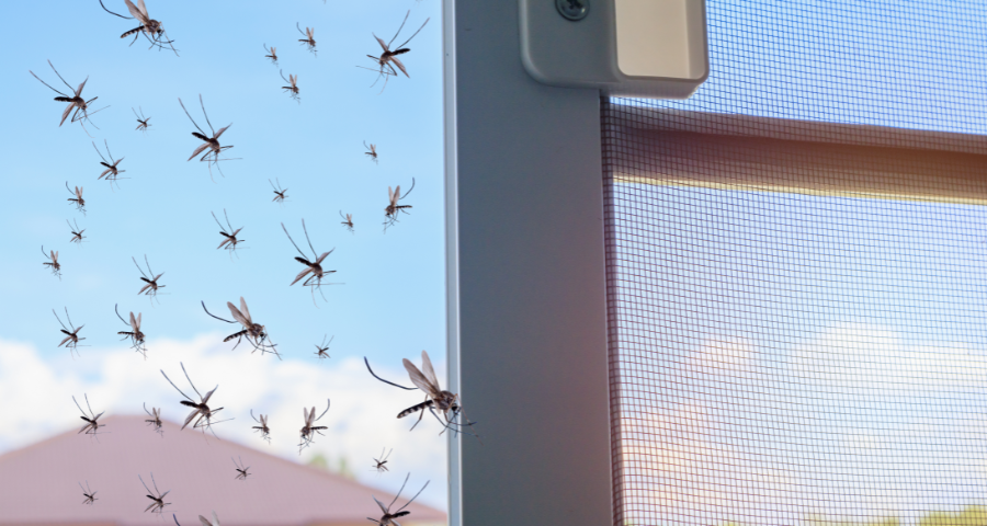 instalar mosquiteras